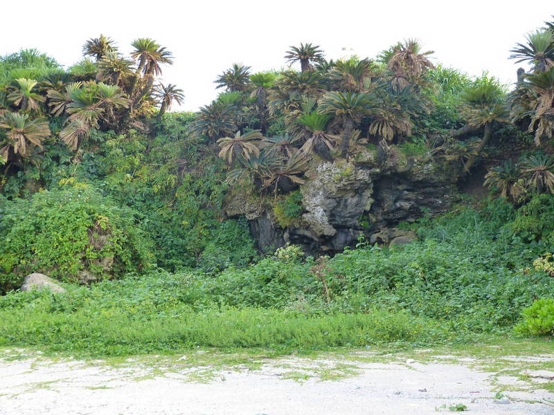 奄美大島 大笠利