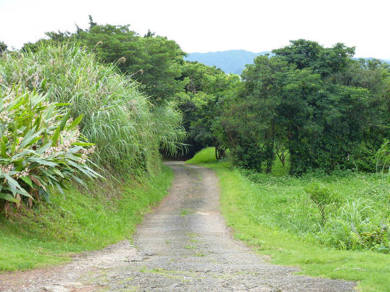 工房と実家へ続く道