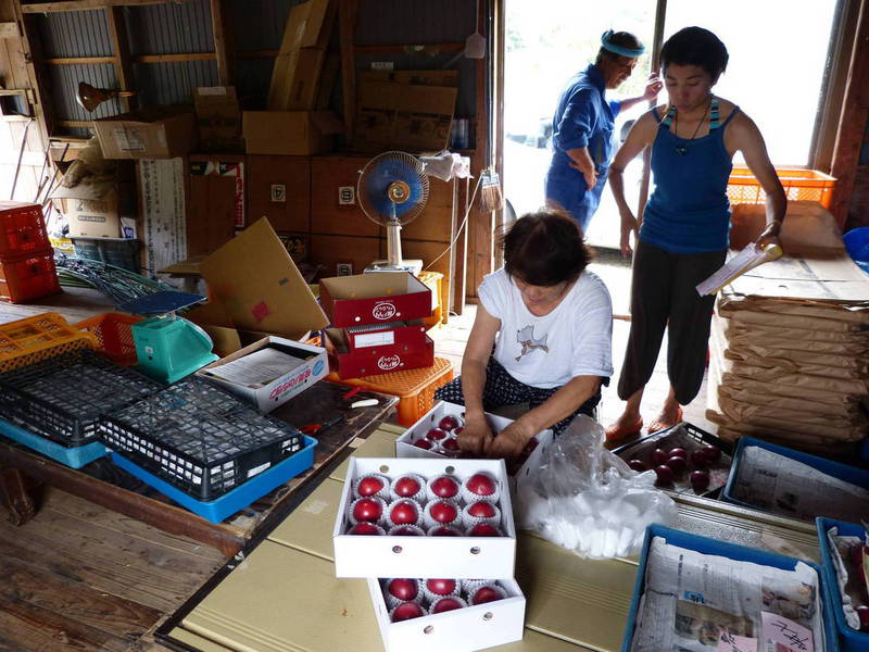 きゃしなふ パッションフルーツ