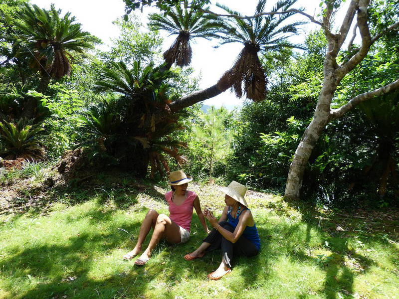 ILANDR インタビュー風景