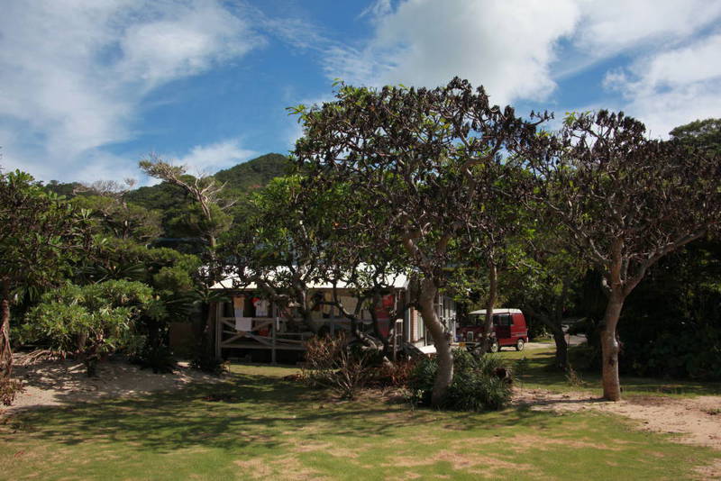 藤田家の目の前は海で、裏には小高い山がある。