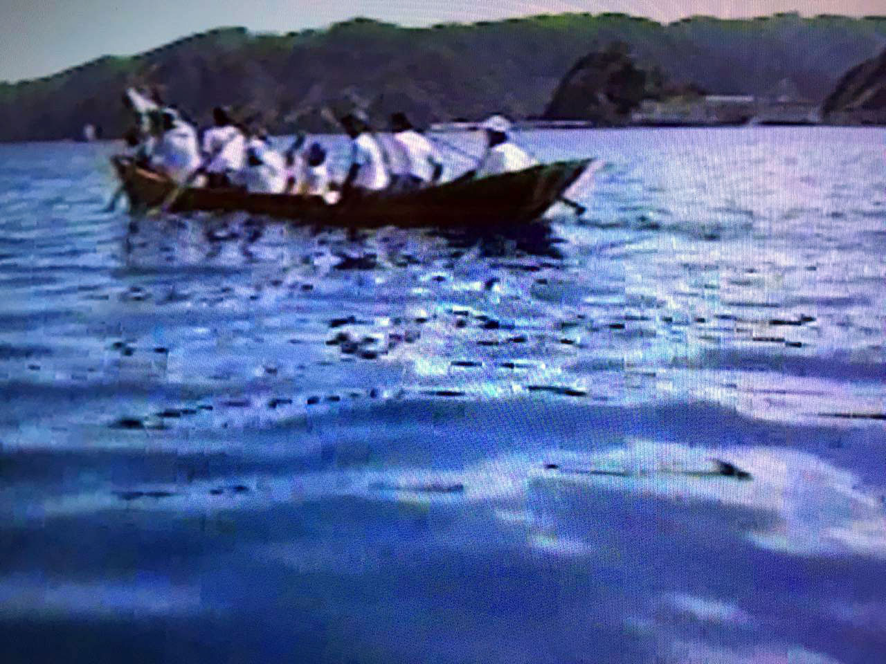 板付け舟に乗る野茶坊集団