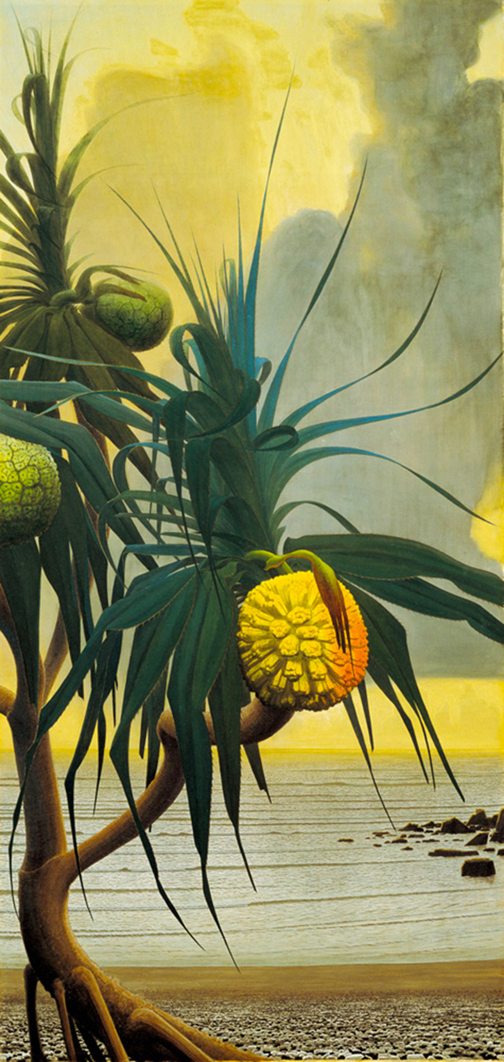 田中一村・アダン